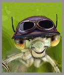 Karin Bison-Unger/ karibudesign.de